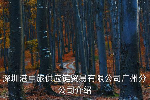 深圳港中旅供應鏈貿易有限公司廣州分公司介紹
