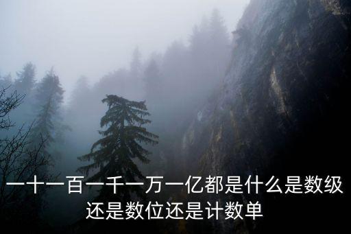 一十一百一千一萬一億都是什么是數(shù)級還是數(shù)位還是計數(shù)單