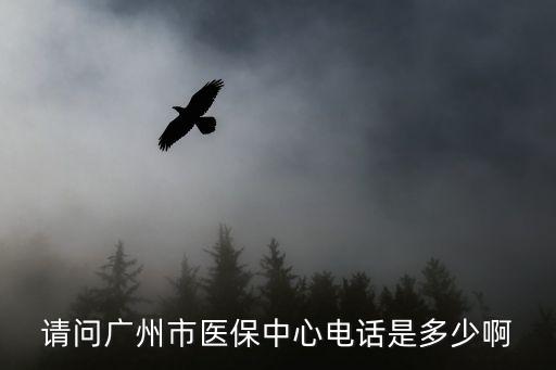 請問廣州市醫保中心電話是多少啊