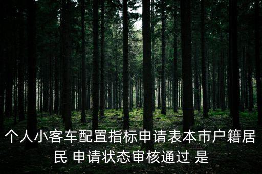 個人小客車配置指標申請表本市戶籍居民 申請狀態審核通過 是
