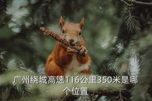 廣州繞城高速116公里350米是哪個位置
