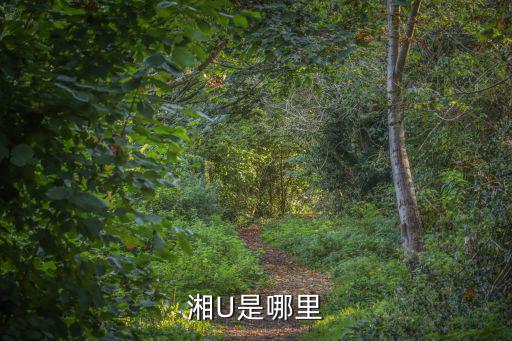湘U是哪里