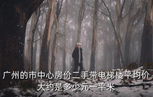 廣州的市中心房價(jià)二手帶電梯樓平均價(jià)大約是多少元一平米