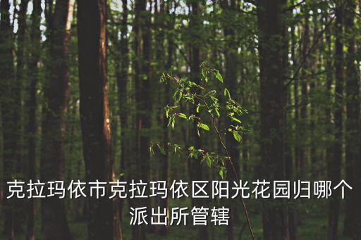 克拉瑪依市克拉瑪依區陽光花園歸哪個派出所管轄