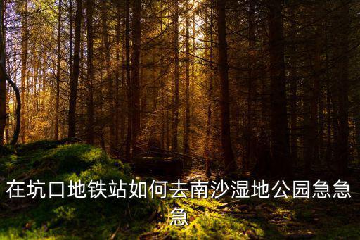 在坑口地鐵站如何去南沙濕地公園急急急