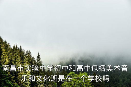 南昌市實驗中學初中和高中包括美術音樂和文化班是在一個學校嗎
