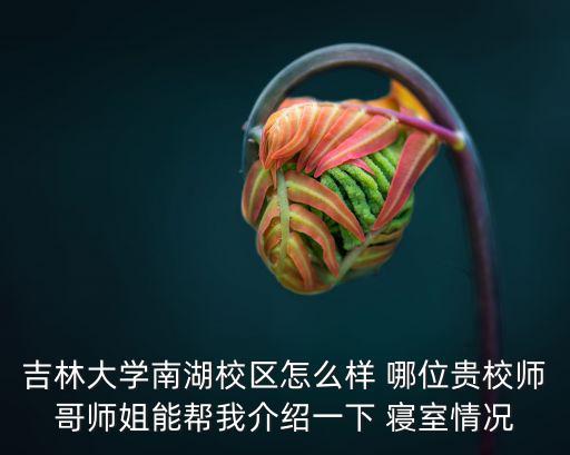吉林大學南湖校區(qū)，吉林大學南校區(qū)是在南湖附近嗎