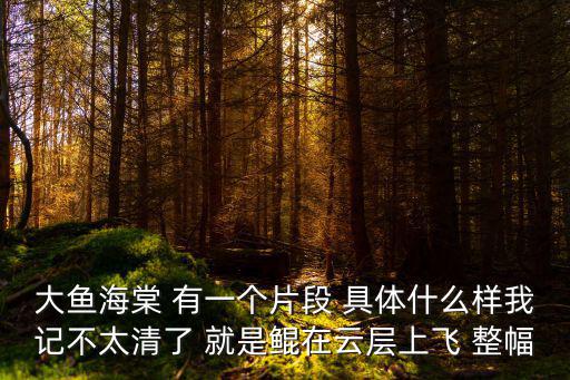 大魚海棠 有一個片段 具體什么樣我記不太清了 就是鯤在云層上飛 整幅