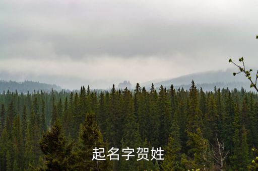 起名字賀姓