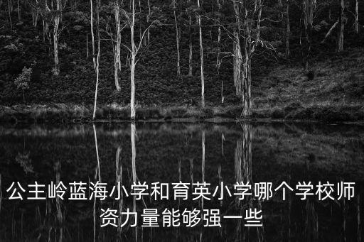 公主嶺藍(lán)海小學(xué)和育英小學(xué)哪個學(xué)校師資力量能夠強一些