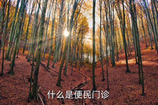 什么是便民門診