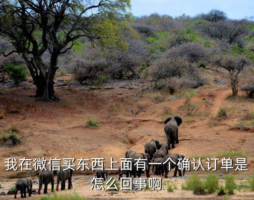 我在微信買東西上面有一個確認訂單是怎么回事啊