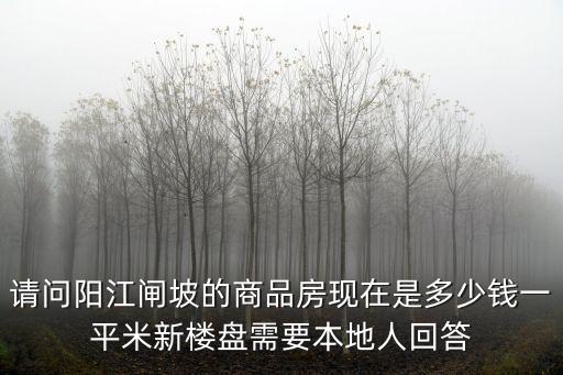 請問陽江閘坡的商品房現在是多少錢一平米新樓盤需要本地人回答