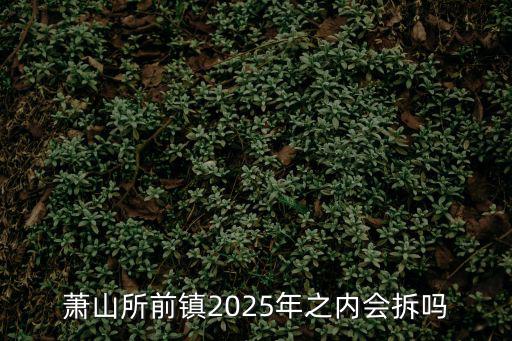 蕭山所前鎮(zhèn)2025年之內(nèi)會拆嗎