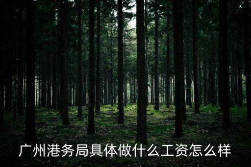 廣州港務局具體做什么工資怎么樣