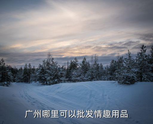 廣州哪里可以批發情趣用品