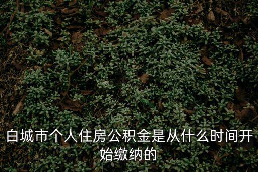 白城市個(gè)人住房公積金是從什么時(shí)間開(kāi)始繳納的