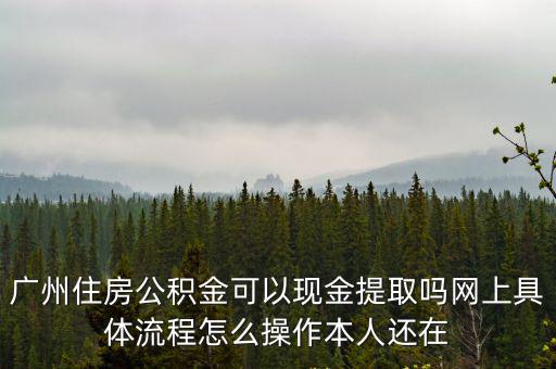 廣州住房公積金提取，廣州住房公積金可以現(xiàn)金提取嗎網(wǎng)上具體流程怎么操作本人還在