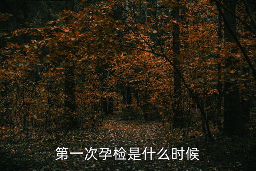 第一次孕檢是什么時候
