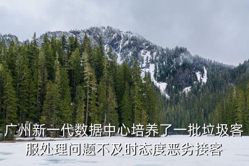 廣州新一代數(shù)據(jù)中心培養(yǎng)了一批垃圾客服處理問題不及時(shí)態(tài)度惡劣接客