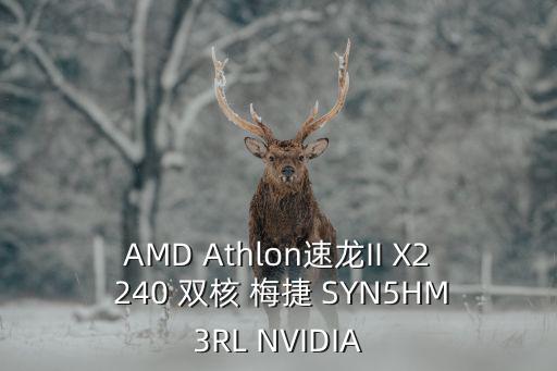 AMD Athlon速龍II X2 240 雙核 梅捷 SYN5HM3RL NVIDIA
