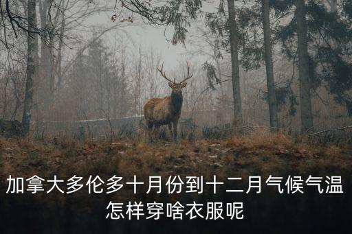 加拿大多倫多十月份到十二月氣候氣溫怎樣穿啥衣服呢
