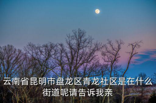 云南省昆明市盤龍區(qū)青龍社區(qū)是在什么街道呢請告訴我親