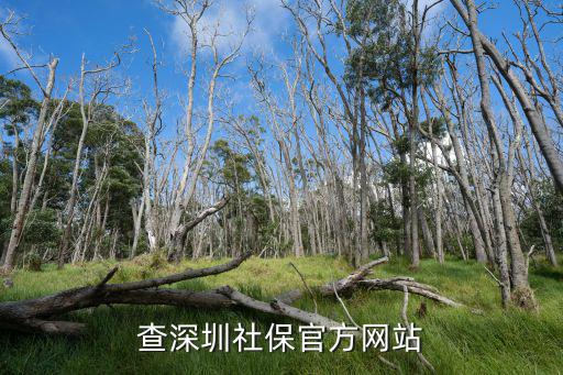 查深圳社保官方網站