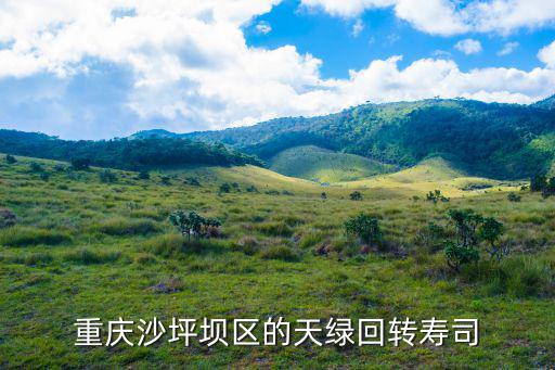 天綠回轉壽司，重慶沙坪壩區的天綠回轉壽司