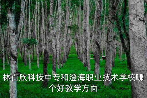 林百欣科技中專和澄海職業(yè)技術(shù)學(xué)校哪個(gè)好教學(xué)方面