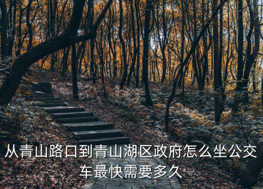 青山湖區(qū)政府，從青山路口到青山湖區(qū)政府怎么坐公交車最快需要多久