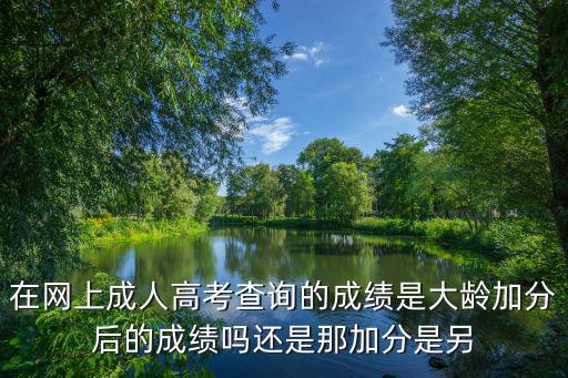 在網(wǎng)上成人高考查詢的成績是大齡加分后的成績嗎還是那加分是另