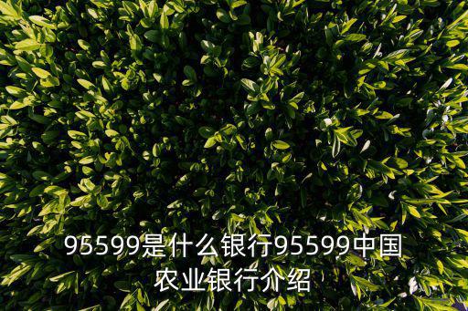 95599是什么銀行95599中國農(nóng)業(yè)銀行介紹