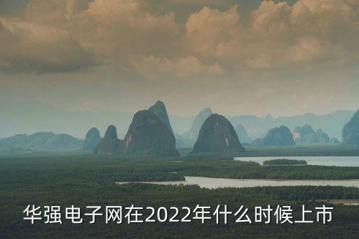 華強電子網在2022年什么時候上市