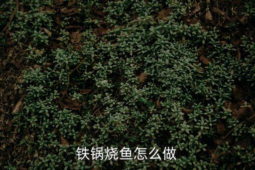 鐵鍋燜魚，鐵鍋燒魚怎么做