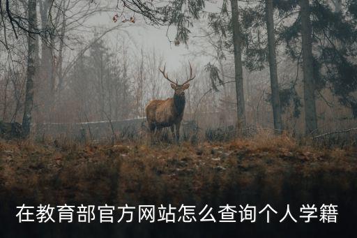 在教育部官方網站怎么查詢個人學籍