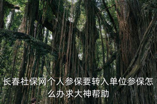 長春社保網個人參保要轉入單位參保怎么辦求大神幫助