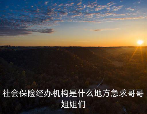 社會(huì)保險(xiǎn)經(jīng)辦機(jī)構(gòu)是什么地方急求哥哥姐姐們