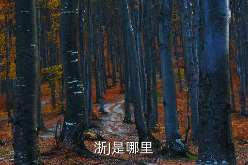 浙J是哪里