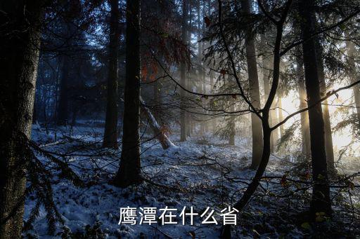 鷹潭在什么省