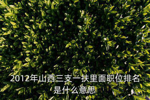 三支一扶崗位表，三支一扶崗位排名的疑問