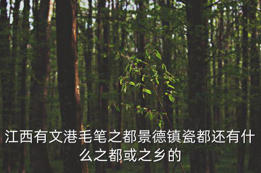 文港鎮(zhèn)，江西有文港毛筆之都景德鎮(zhèn)瓷都還有什么之都或之鄉(xiāng)的