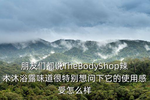 朋友們都說TheBodyShop辣木沐浴露味道很特別想問下它的使用感受怎么樣