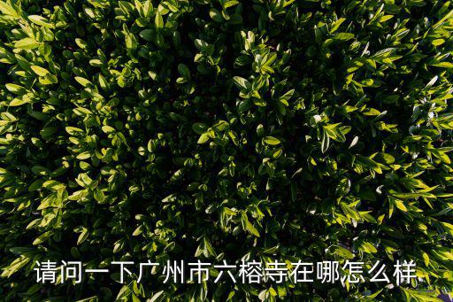 請問一下廣州市六榕寺在哪怎么樣