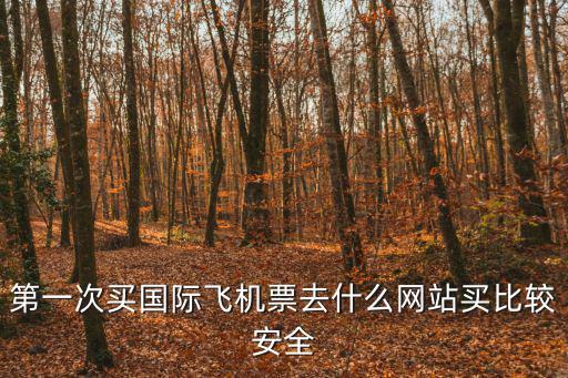 第一次買國際飛機票去什么網站買比較安全
