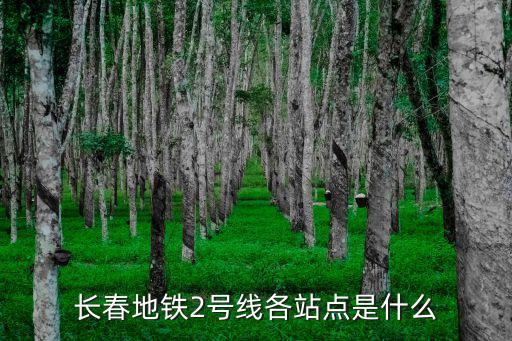 長春軌道交通，長春軌道交通一卡通