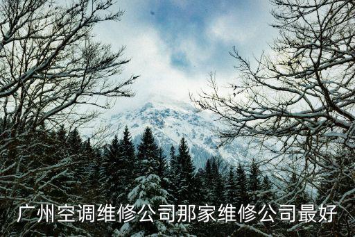 廣州空調維修公司那家維修公司最好
