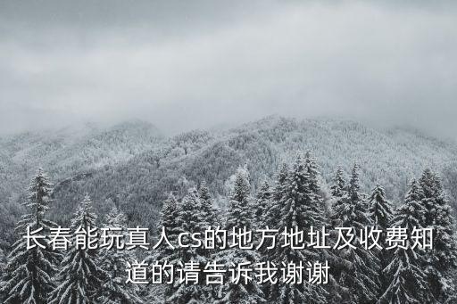 長春真人cs，長春真人CS哪家專業(yè)