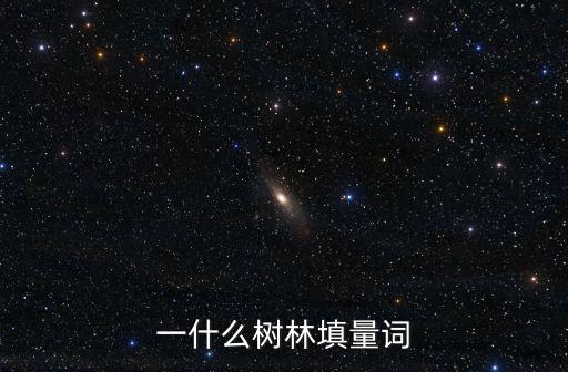 一什么樹林填量詞