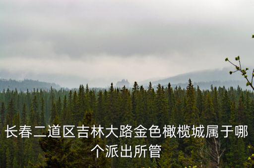 長春二道區吉林大路金色橄欖城屬于哪個派出所管
